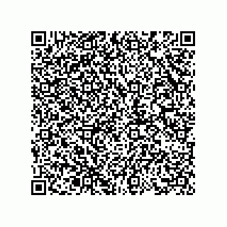 vCard 73858727411