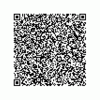 vCard 73858727451