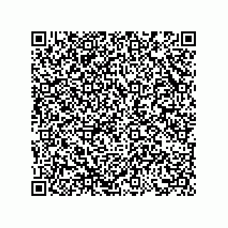 vCard 73858729313