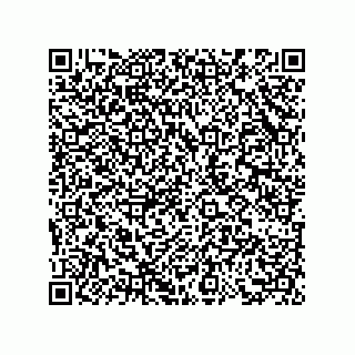 vCard 73858729317