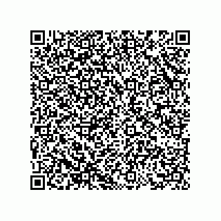 vCard 73858729319