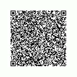 vCard 73858729335