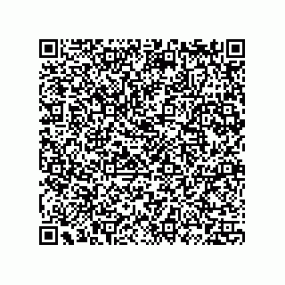 vCard 73859133913