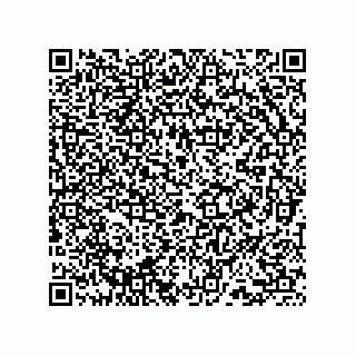 vCard 73859133933
