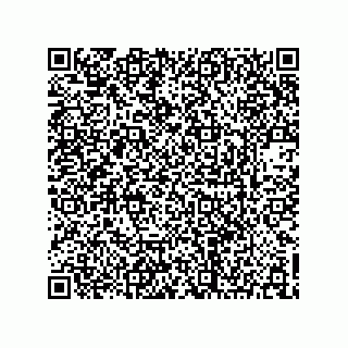 vCard 73903153207