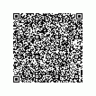 vCard 73903153209