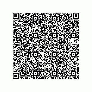 vCard 73903153218