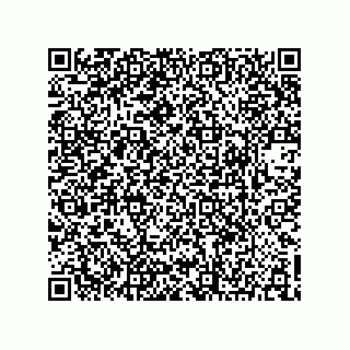 vCard 73903153219