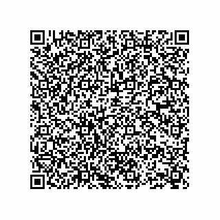 vCard 73903153221