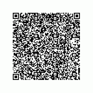 vCard 73903153271