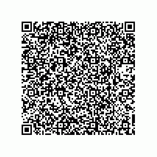 vCard 73903153299