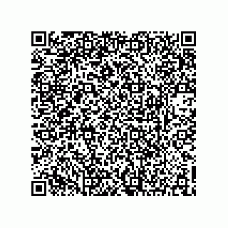 vCard 73903153311