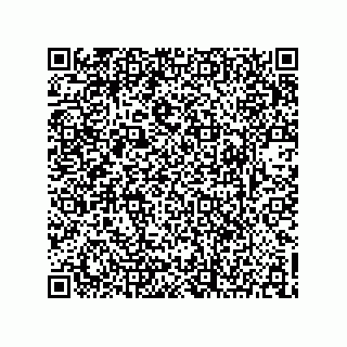 vCard 73903153319