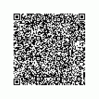 vCard 73903153320