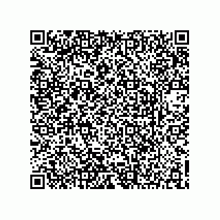 vCard 73903153321
