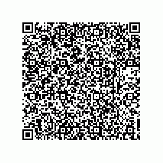 vCard 73903153334