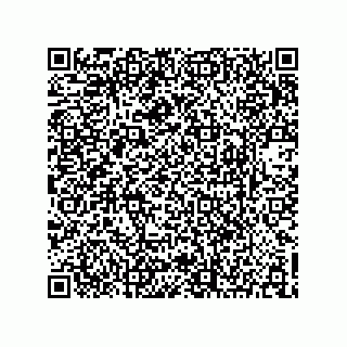 vCard 73903153341