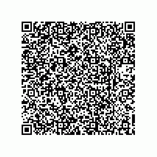 vCard 73903153371