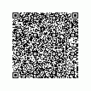 vCard 73903153381