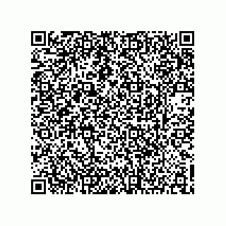 vCard 73903153384
