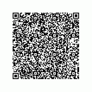 vCard 73903153387