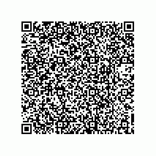 vCard 73903153411