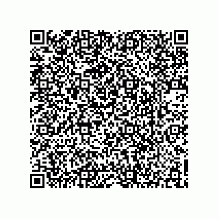 vCard 73903593279