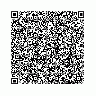 vCard 73903628393
