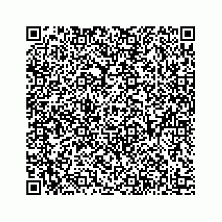 vCard 73903629113