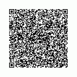 vCard 73903629119