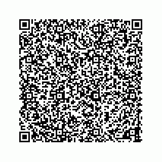 vCard 73903629133