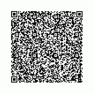 vCard 73903629137