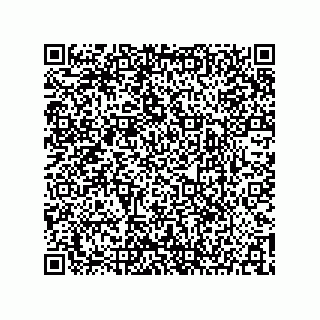 vCard 73904250251