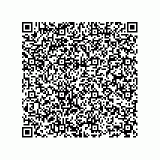 vCard 73904250313