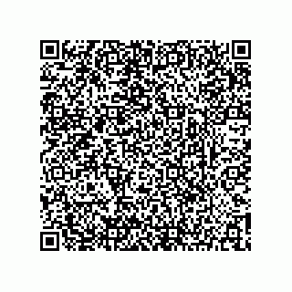 vCard 73904250335