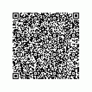 vCard 73904250381