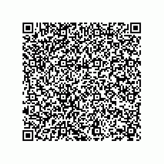 vCard 73904279003