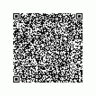 vCard 73904279112
