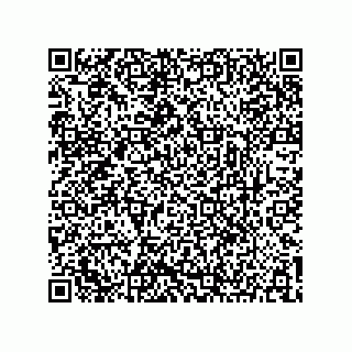 vCard 73904279113