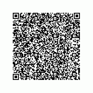 vCard 73904279115