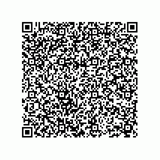 vCard 73904279138