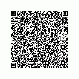vCard 73904279162