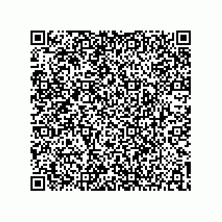 vCard 73904279199