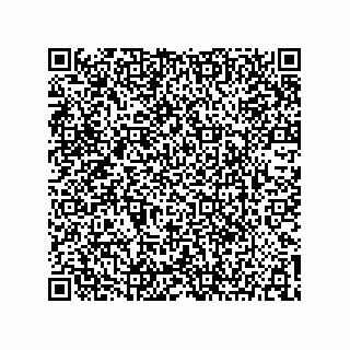 vCard 73904279209