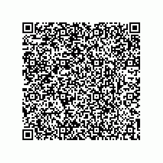 vCard 73904279311