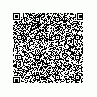 vCard 73904279333