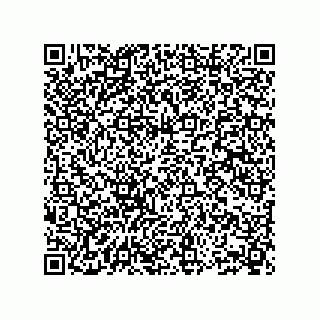 vCard 73904279336