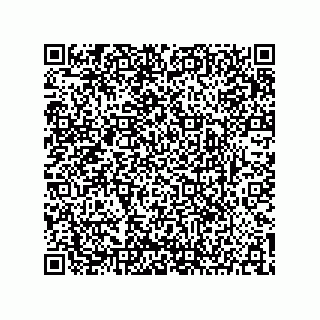 vCard 73904279351