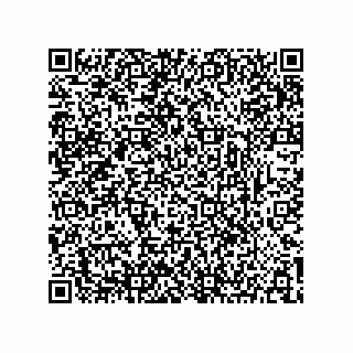 vCard 73904279353