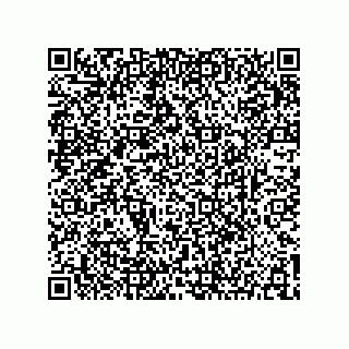 vCard 73904279378